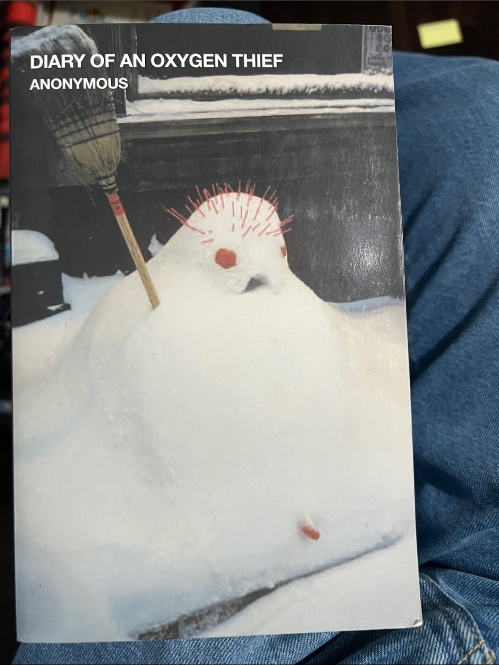 Diary of an Oxygen Thief book